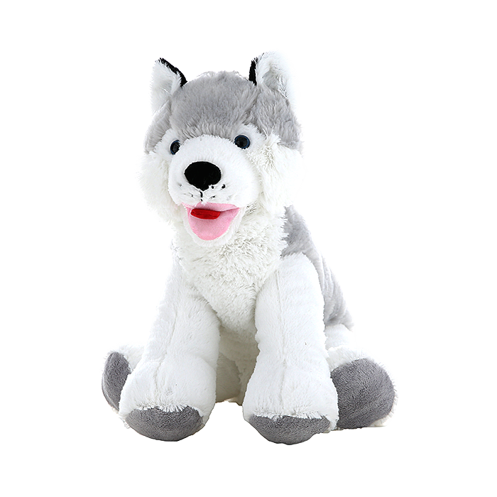 Adorable Husky with an open mouth