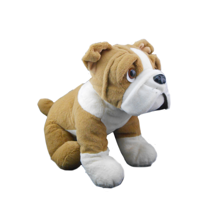 Adorable light brown bulldog with white accents and droopy loving eyes