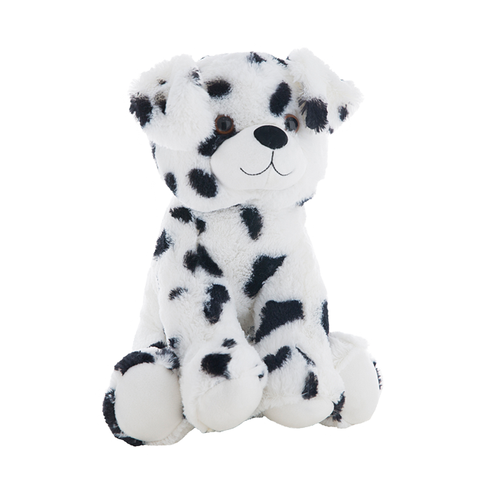Dalmation dog with soft fur and warm brown eyes