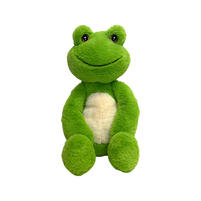 "Fern" the Frog- Eco Explorers (16")