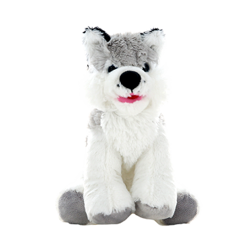 Adorable Husky with an open mouth