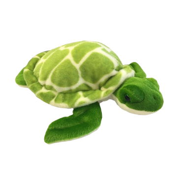 Soft sea turtle with green color scheme