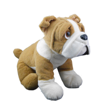 Adorable light brown bulldog with white accents and droopy loving eyes