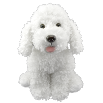 Dog with white textured soft fur and a small bit or pink tongue hanging out its cute mouth