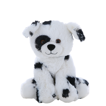 Dalmation dog with soft fur and warm brown eyes