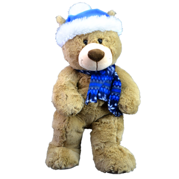 Cute teddy bear in a blue hat and plaid blue scarf