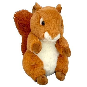Cool squirrel with exceptionally fluffy tail