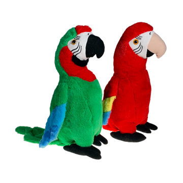 2 parrots one green and other in red