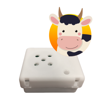 Cow Sound