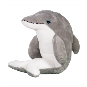 Super friendly sof dolphin with blue eyes