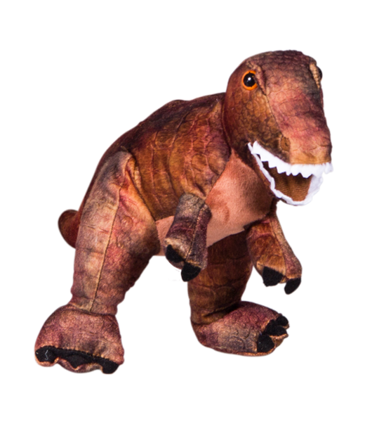 Rex atte clearance