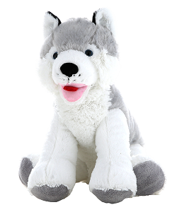Adorable Husky with an open mouth