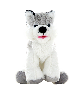 Adorable Husky with an open mouth