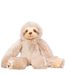 Cute sloth with soft long quality fur and a smile to slow down for