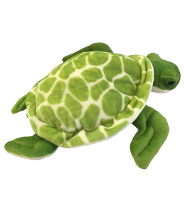 Turtle teddys on sale