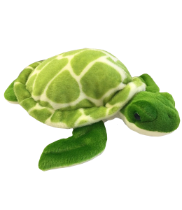 Soft sea turtle with green color scheme