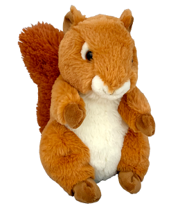 Cool squirrel with exceptionally fluffy tail