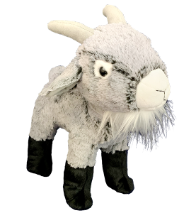Old Bill E. goat has a long white beard and cool horns, with cute black legs