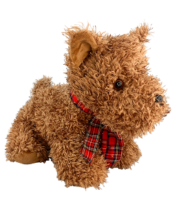 adorable furry terrier with a cute little festive plaid scarf