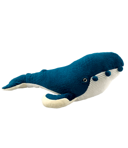 Deep blue textured humpback whale with tubercles and corduroy underbelly