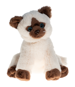 Siamese cat in light fur with dark brown accents, sky blue eyes