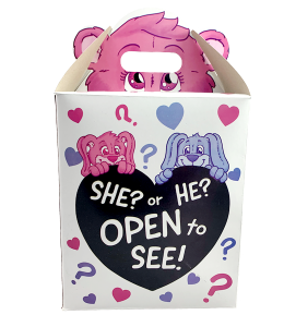 Gender Reveal Box 16"