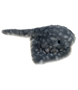 dark grey stignray with light grey spots
