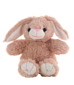 Adorable soft brown bunny