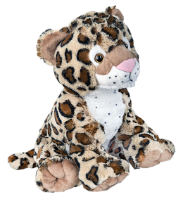 Adorable cheetah with soft longer fur as accents