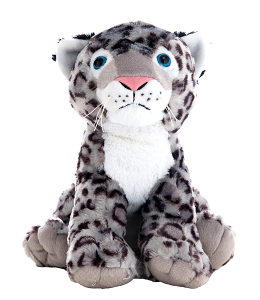 Adorable blue eyed fluffy snow leopard