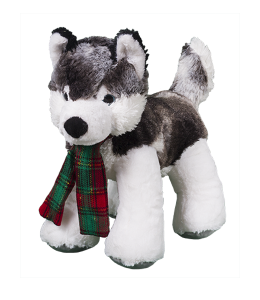 Adorable super soft husky with a christmas scarf in red and green around its neck