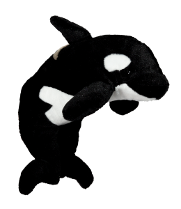 Majestic orca in soft fur with plastic eyes