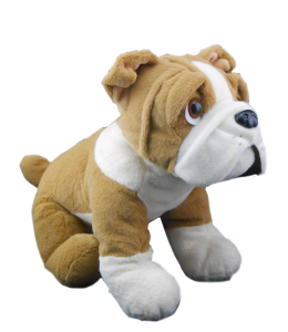 Adorable light brown bulldog with white accents and droopy loving eyes