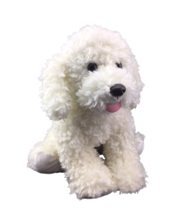 Dog with white textured soft fur and a small bit or pink tongue hanging out its cute mouth