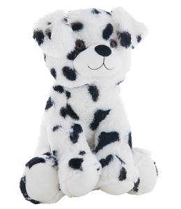 Dalmation dog with soft fur and warm brown eyes