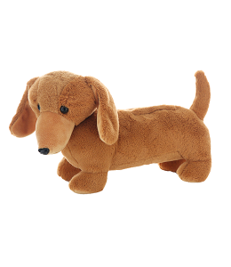 Adorable small dachshund in soft brown color
