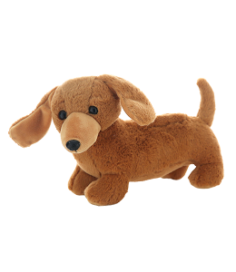 Adorable small dachshund in soft brown color