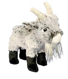 Old Bill E. goat has a long white beard and cool horns, with cute black legs