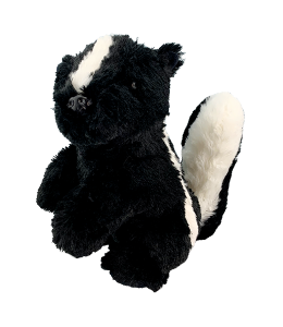 cute skunk with soft jet black fur and white stripe on its back and a fluffy tail