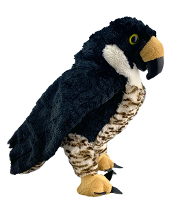 Cool falcon with soft black fur and color accents on his tummy