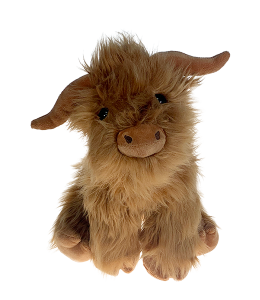 Super cute and fluffy highland cow