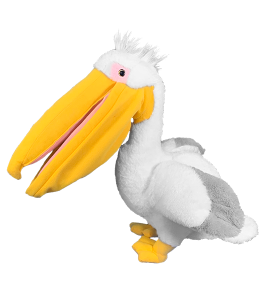 Mighty white pelican