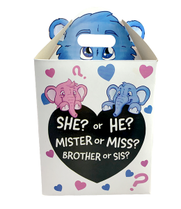 Gender reveal carry home box with questions printed on it and blue and pink animals
