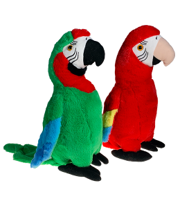 2 parrots one green and other in red