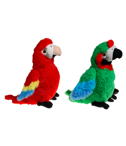 two little parrot buddies one green and the other red
