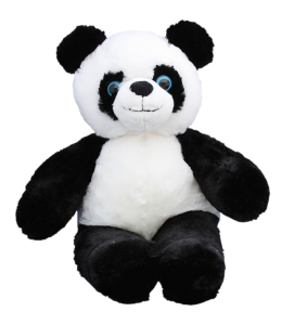 Super cute fluffy panda with beautiful blue eyes