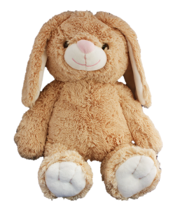 Adorable soft brown bunny