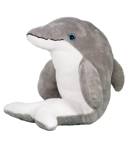 Super friendly sof dolphin with blue eyes