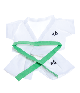 Karate Outfit in white with a green belt