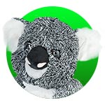 Friendly koala plush toy in a colored circle